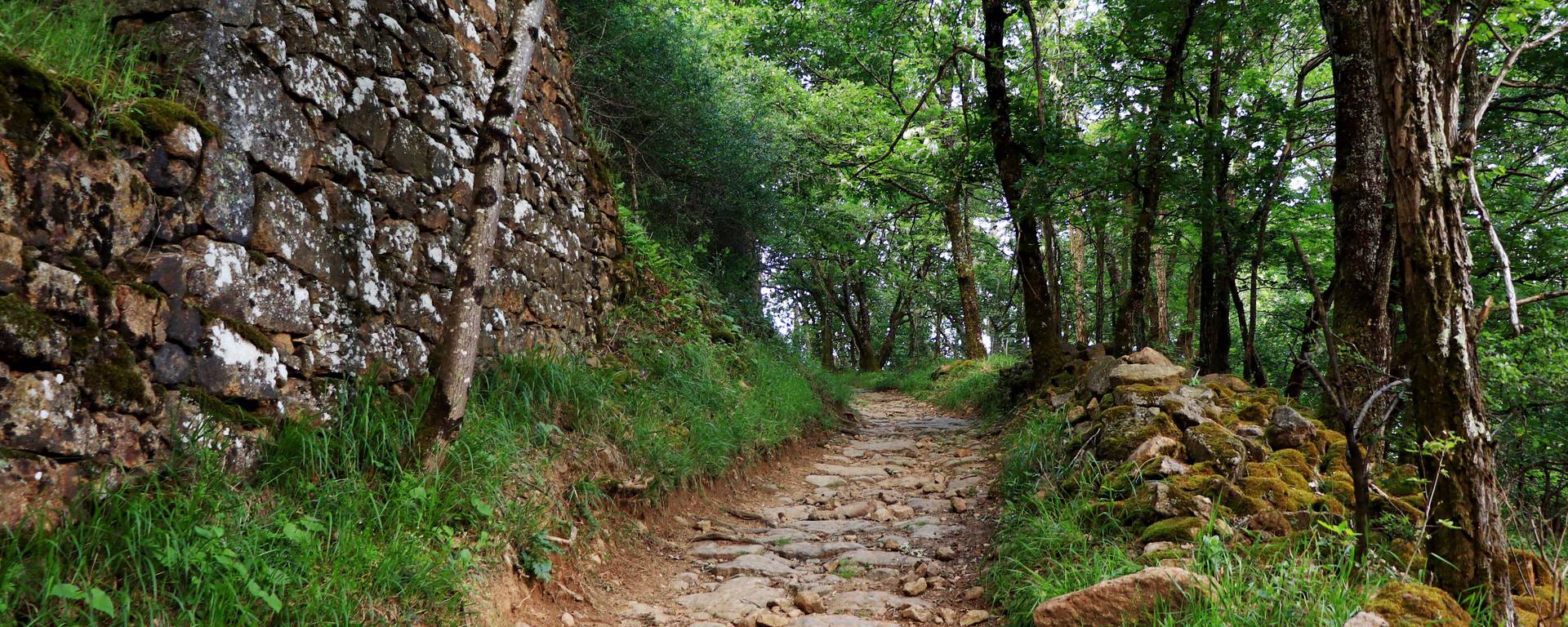 sentier randonnée Loire 42