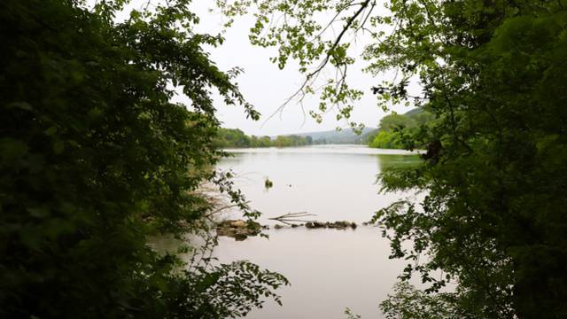 Confluence du Rhône et de la lône de l'Ile du Beurre, Pilat