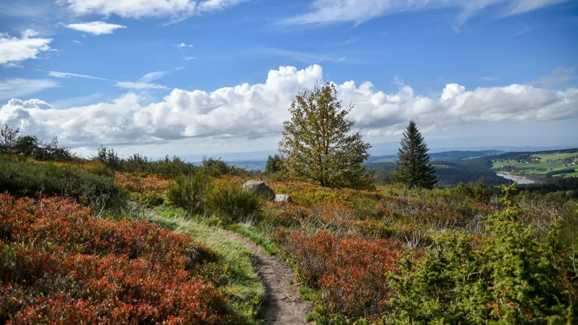 Mon week-end du 06 au 08 octobre