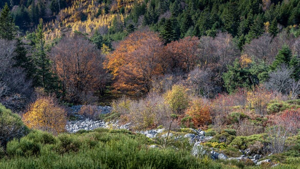 Au coeur de l'automne dans le Pilat