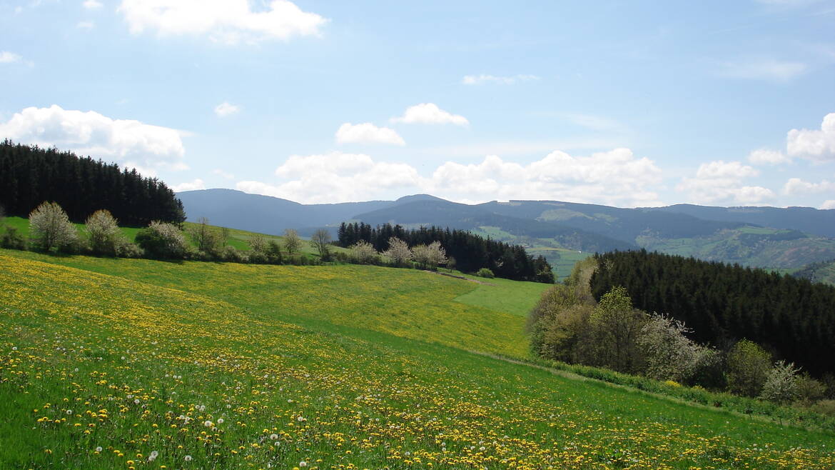 Mon week-end du 12 au 14 mai