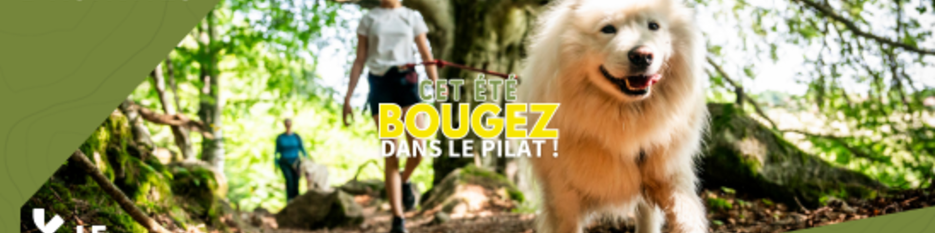 Découvrez la programmation estivale "Bougez dans le Pilat" afin de faire le plein d'activités !