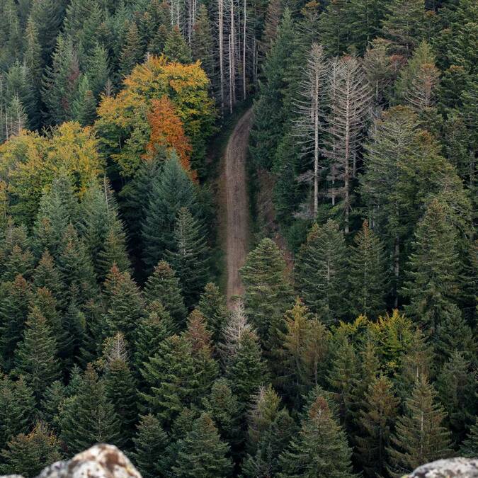 Versants du Gier et du Furan