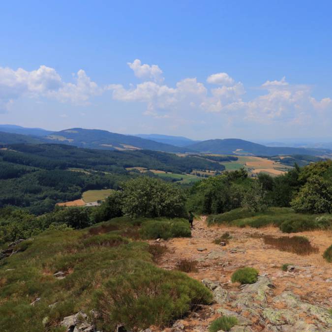 rando VTT Mont Monnet