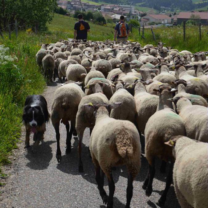 agriculteurs, Pilat